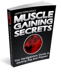 Picture of the book Muscle Gaining Secrets Picture of the book Muscle Gaining Secrets